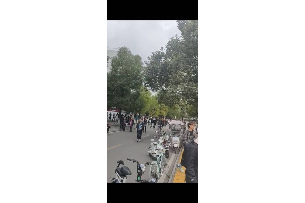 公厨网
