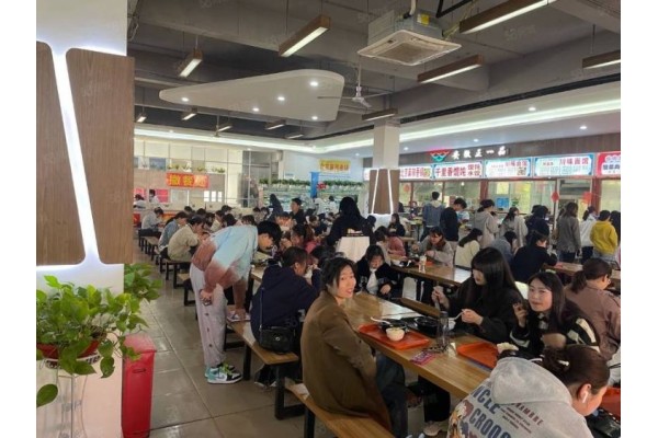 公厨网